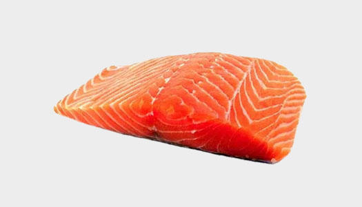 Salmon