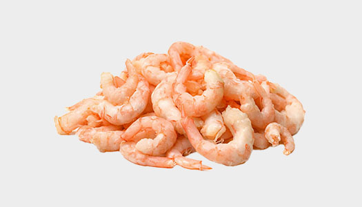 Shrimp