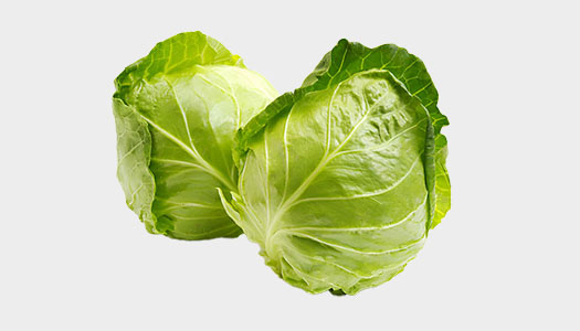 Cabbage
