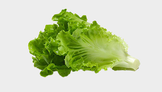 Lettuce