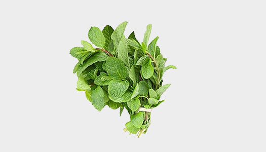 Mint Leaves